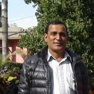धनकृष्ण पाण्डे